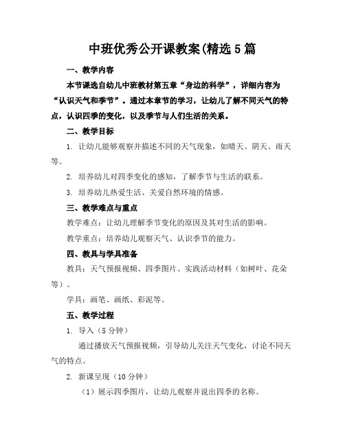 中班优秀公开课教案(精选5篇