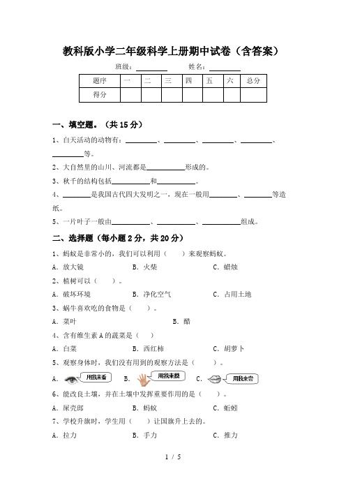 教科版小学二年级科学上册期中试卷(含答案)