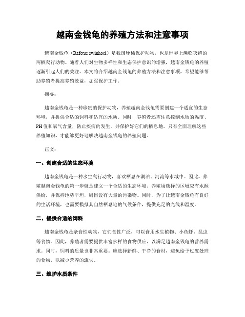 越南金钱龟的养殖方法和注意事项