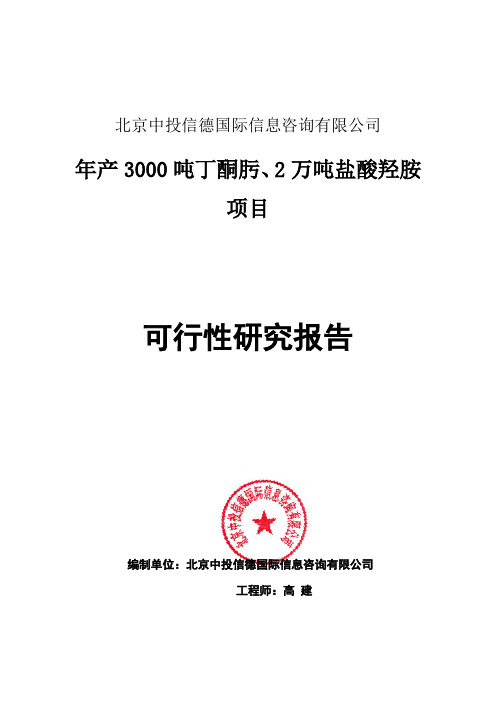 年产3000吨丁酮肟、2万吨盐酸羟胺项目可行性研究报告编写格式说明(模板套用型word)