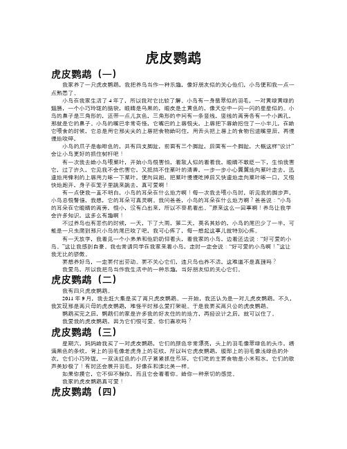 虎皮鹦鹉作文共九篇