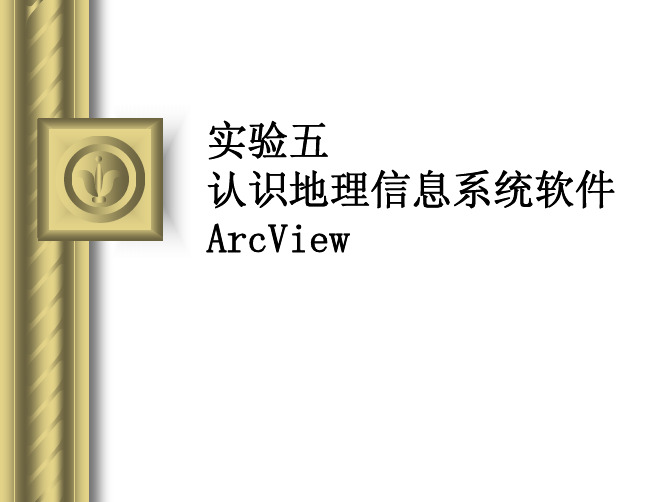 ARCVIEW简介