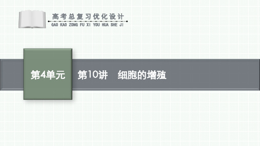 高考总复习优化设计一轮用书生物配人教版(适用于新高考新教材)—《第4单元 细胞的生命历程》