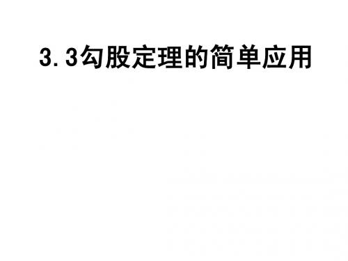 3.3勾股定理的简单应用爱国个性太好了