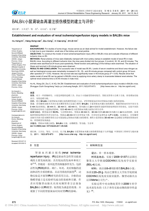 BALB_c小鼠肾缺血再灌注损伤模型的建立与评价