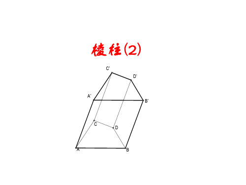 高考数学复习棱柱2(新编201910)