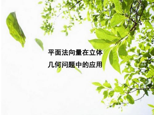 空间向量在立体几何中的应用06170