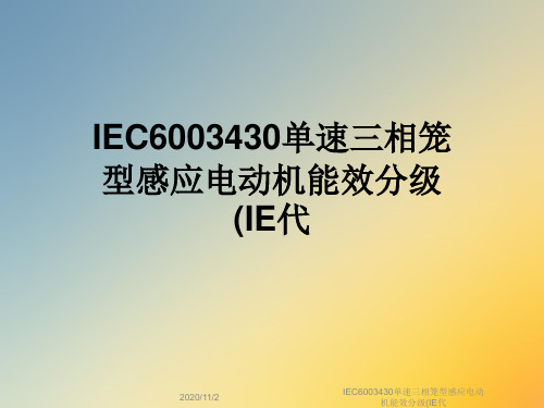 IEC6003430单速三相笼型感应电动机能效分级(IE代