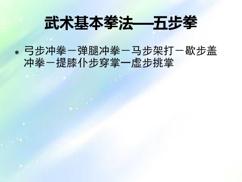 初中体育武术基本拳法《五步拳》