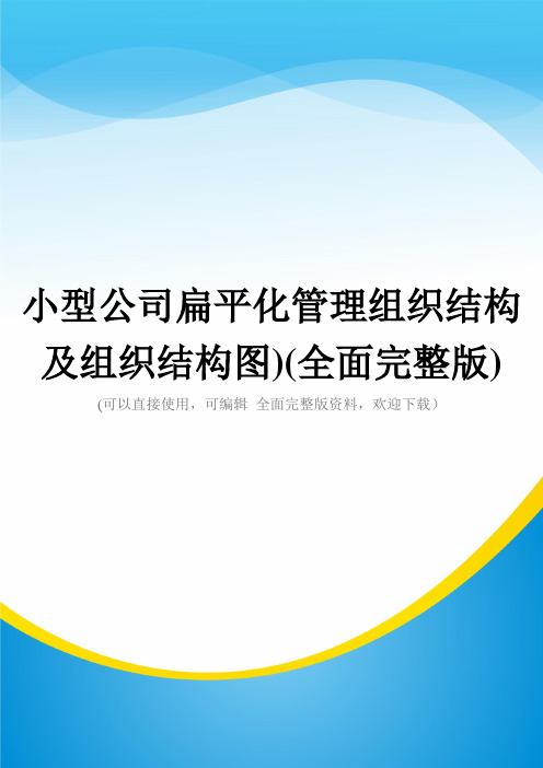 小型公司扁平化管理组织结构及组织结构图)(全面完整版)