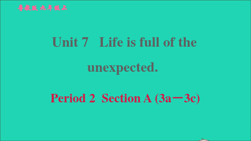 九年级英语全册Unit7Period2SectionA3a-3c习题鲁教版五四制