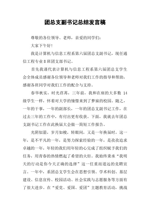 团总支副书记总结发言稿