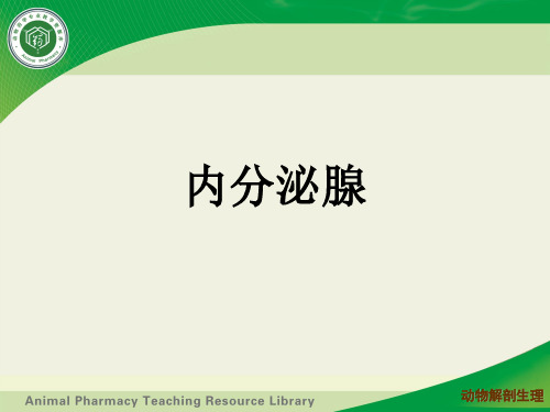 内分泌系统——内分泌腺——肾上腺讲解