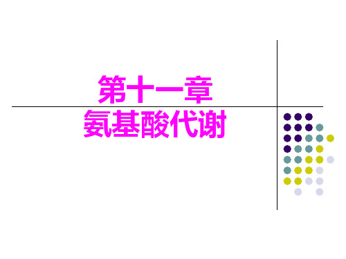 氨基酸代谢