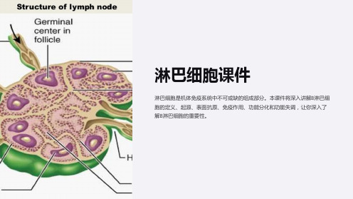 (人卫5版医学免疫学)第九章B淋巴细胞课件