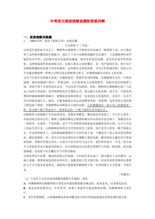 [精选]中考现代文阅读真题练习题及答案共20篇汇总