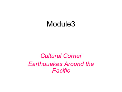 高二英语Cultural课件3