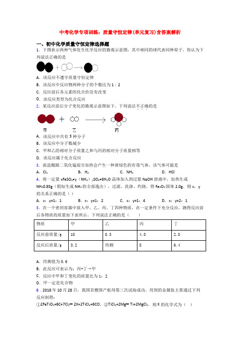 中考化学专项训练：质量守恒定律(单元复习)含答案解析