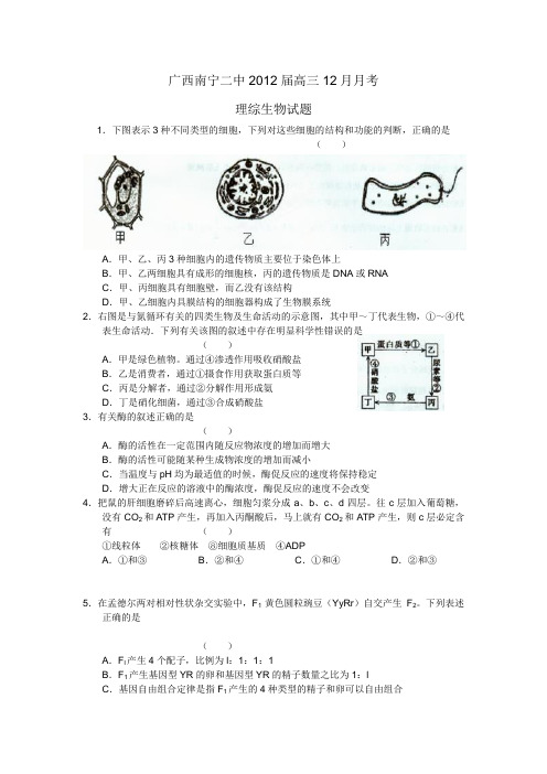 广西南宁二中2012届高三12月月考理综生物试题