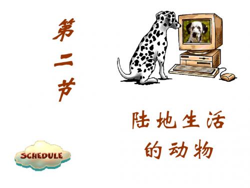八年级生物陆地生活的动物2