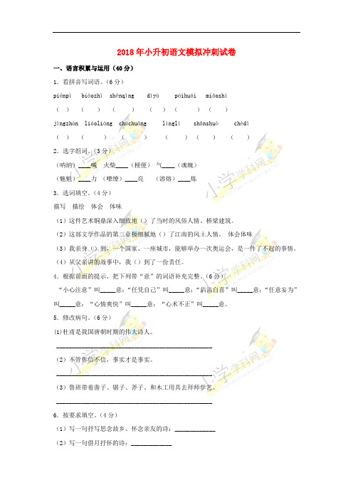 2018年小升初语文模拟冲刺试卷2-5