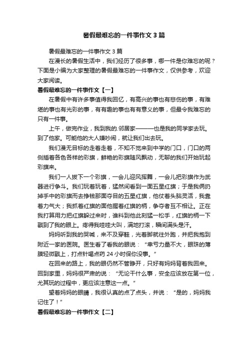 暑假最难忘的一件事作文3篇