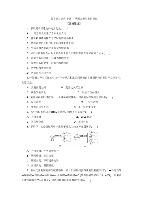 2017-2018学年高一生物必修二课下能力提升十四 含解析