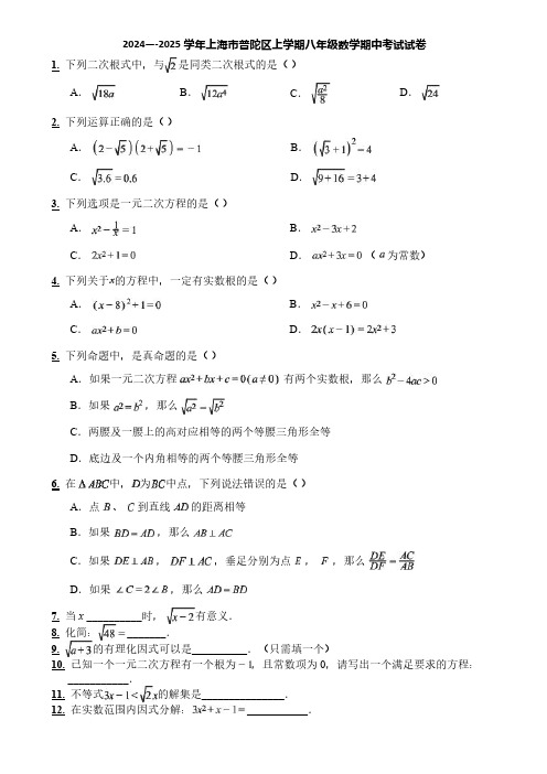 2024—-2025学年上海市普陀区上学期八年级数学期中考试试卷