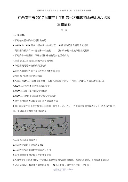 广西南宁市2017届高三上学期第一次摸底考试理科综合生物试题-Word版含答案.doc