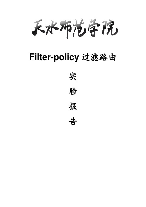 使用filter-policy过滤路由