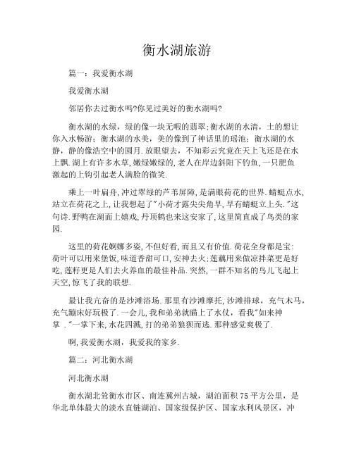 衡水湖旅游
