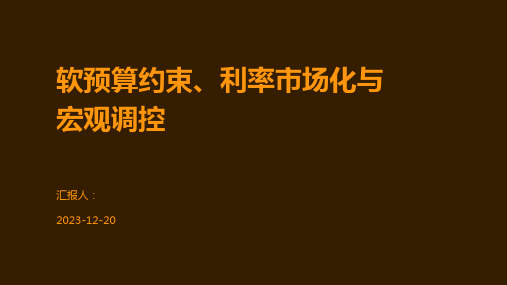 软预算约束、利率市场化与宏观调控