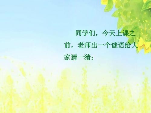 北师大版语文第一册《小书架》PPT课件1PPT、优质教学课件