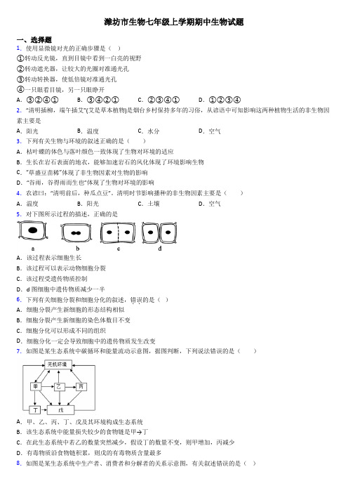 潍坊市生物七年级上学期期中生物试题