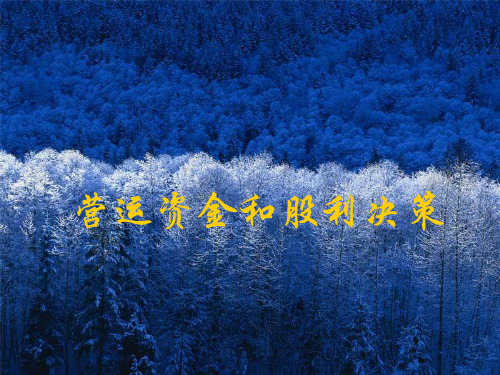 企业营运资金管理概述
