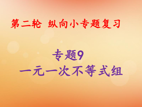 2019中考数学总复习 第二轮 纵向小专题复习 专题9 一元一次不等式组课件