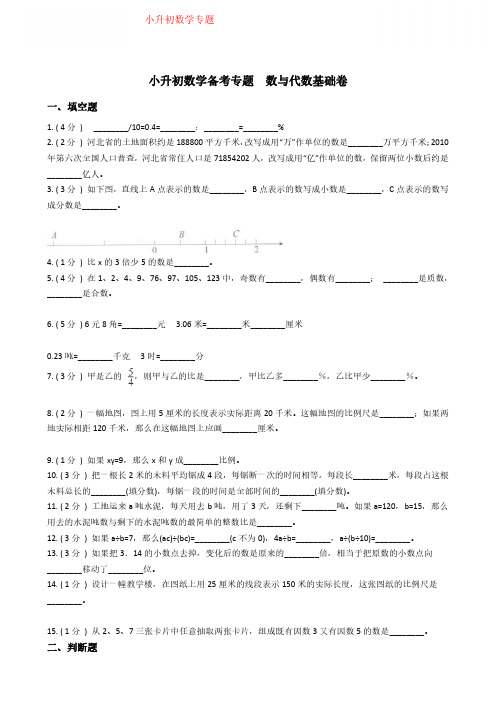 小升初数学专题  数与代数基础卷-附答案