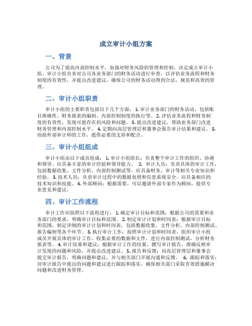 成立审计小组方案