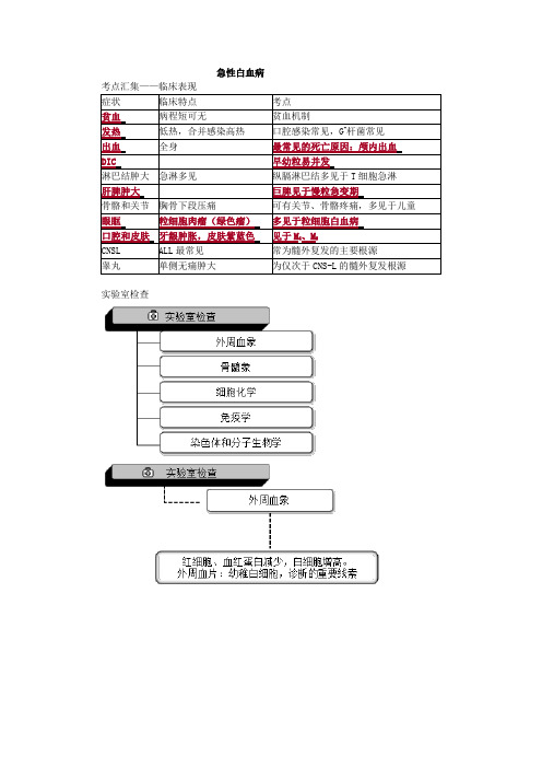 急性白血病考点总结