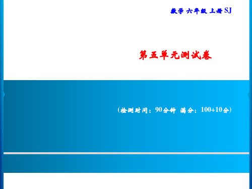 六年级上册数学习题课件-第5单元测试卷|苏教版(共18张PPT)