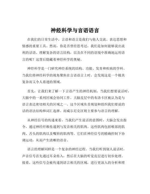 神经科学与言语语言