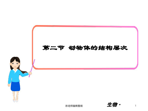 第二节 动物体的结构层次 课件3