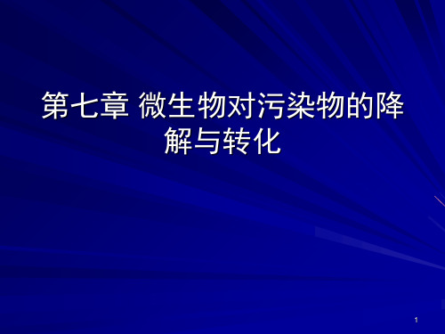 微生物对污染物的降解与PPT幻灯片