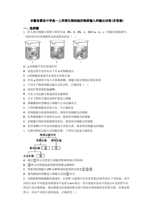 安徽省萧县中学高一上学期生物细胞的物质输入和输出试卷(含答案)