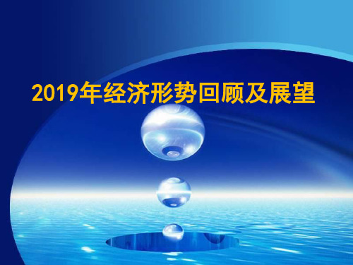 2019-2019年经济形势回顾及展望-文档资料