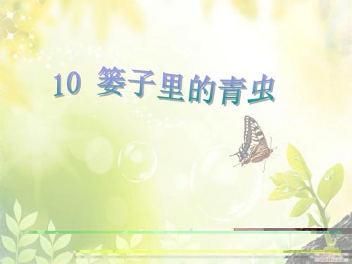 鄂教版篓子里的青虫 第二课时公开课课件