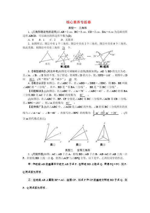 八年级数学上册核心素养专练卷(新版)新人教版