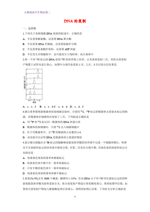 高中生物必修二课时作业12：3.3DNA的复制