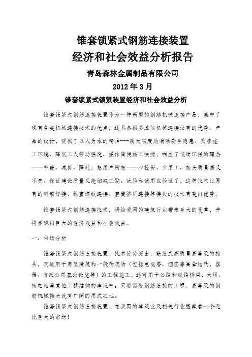 项目经济和社会效益分析