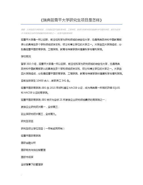 瑞典延雪平大学研究生项目是怎样